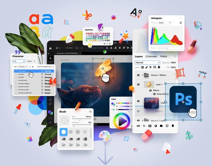 Testing & Launch